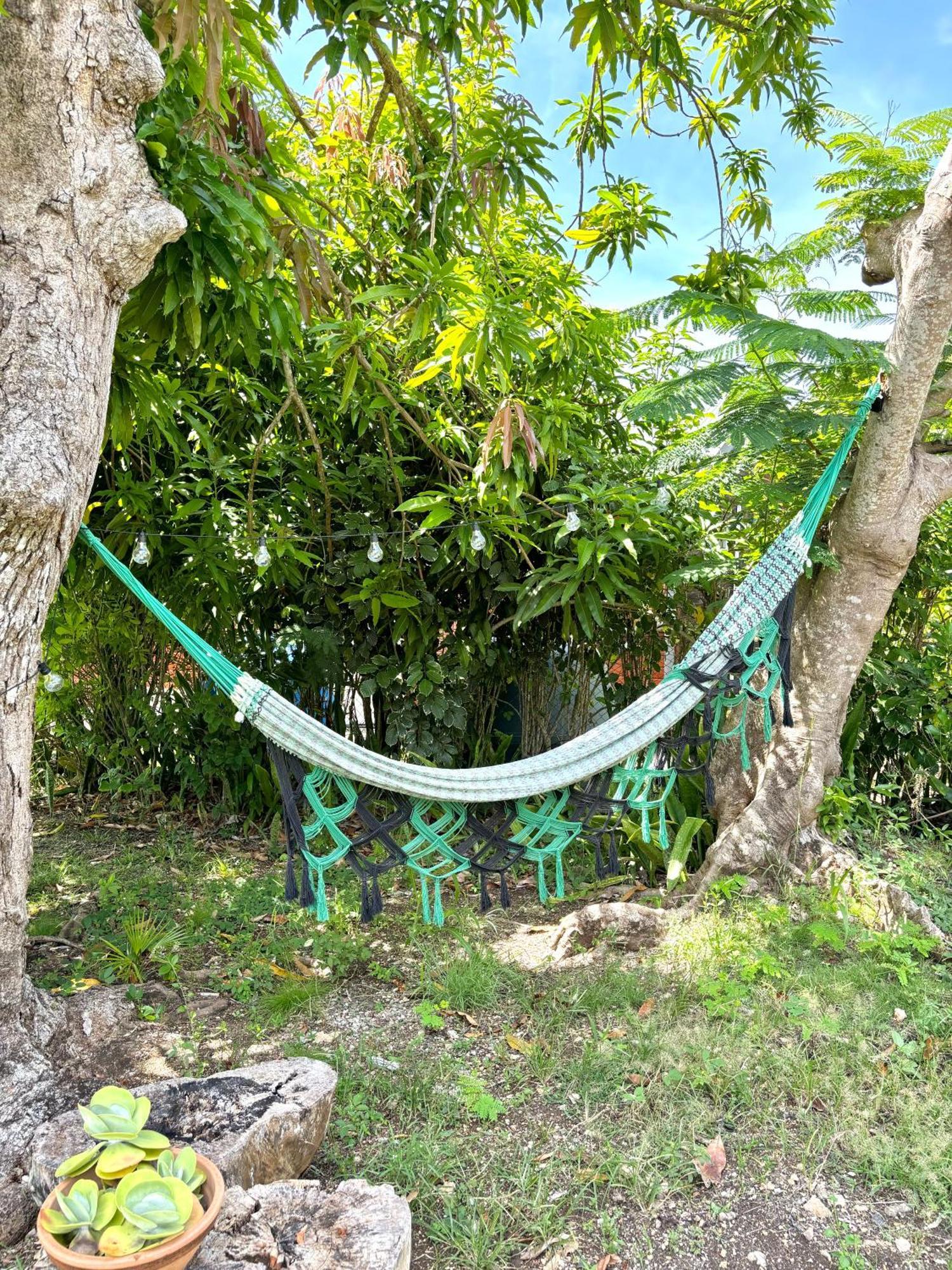 La Maison Creole Du Flamboyant - Proche Des Plages Anse-Bertrand Exterior foto